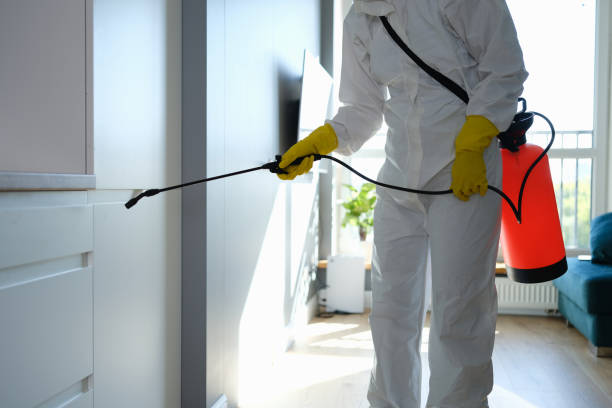 Mold Removal Process in Marshall, TX