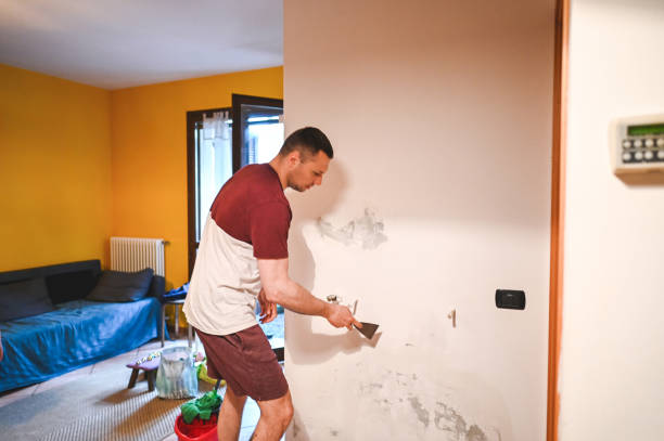 Best Home Mold Removal  in Marshall, TX