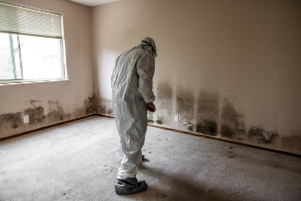 Marshall, TX Mold Removal Company