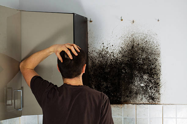 Best Home Mold Removal  in Marshall, TX